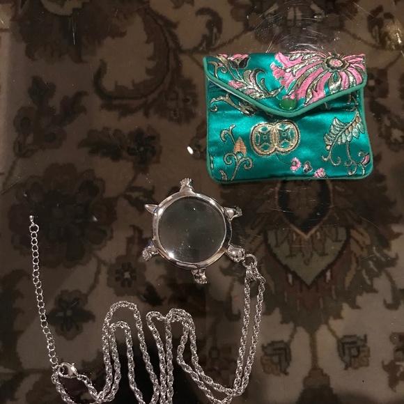 Turtle magnifying glass with a beautiful purse. - Picture 1 of 6